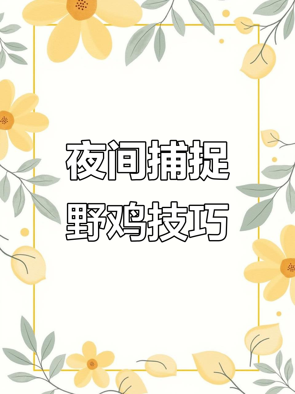 越南网友分享夜抓野鸡的绝妙方法,轻松捕捉十几只