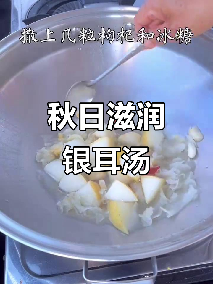秋季润燥汤,银耳百合炖雪梨,滋补又美味