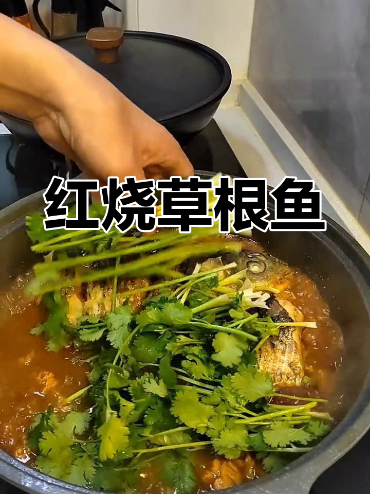 草根鱼的红烧美味