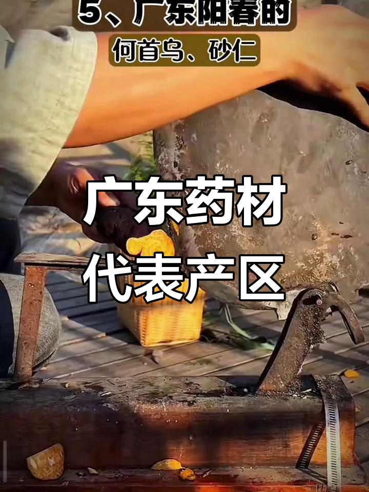 广东中药材的八大名产区与特色品种