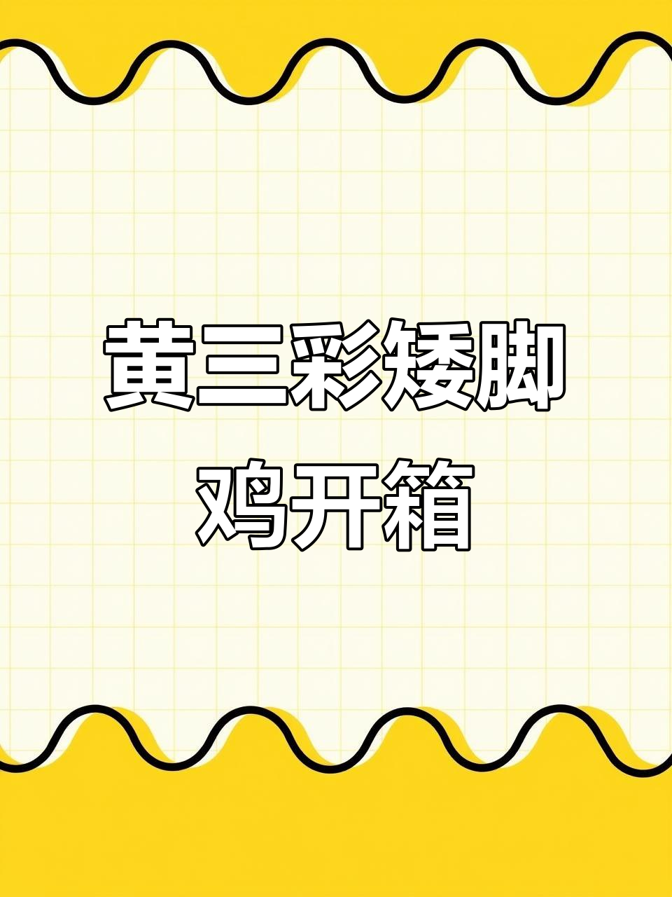 泰国进口黄三彩矮脚鸡,四千八百块值不值?