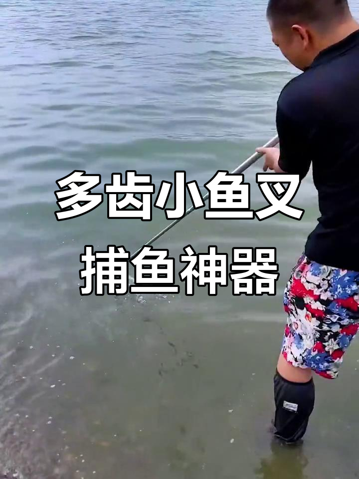 伸缩杆多齿小鱼叉,轻松抓鱼不费力