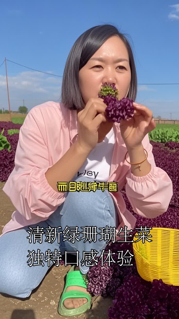 清新绿珊瑚生菜，独特口感体验