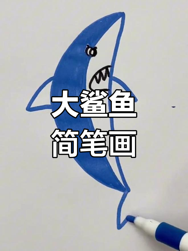轻松学画大鲨鱼，简单又有趣！