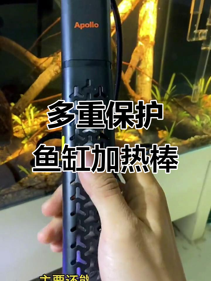 防漏电、报警功能齐全,鱼缸加热棒让你更安心