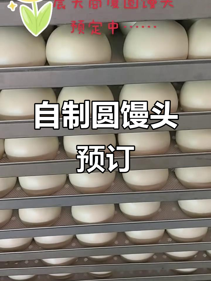 晨光商厦春节自制圆馒头,预定火爆开启!
