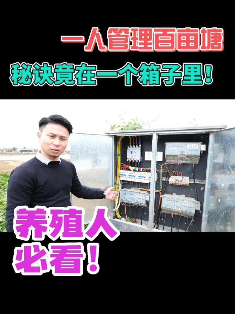 一人管理百亩鱼塘,秘密就在一个箱子里?优鱼水质监测系统、智能控制器给你带来养殖新体验!智能