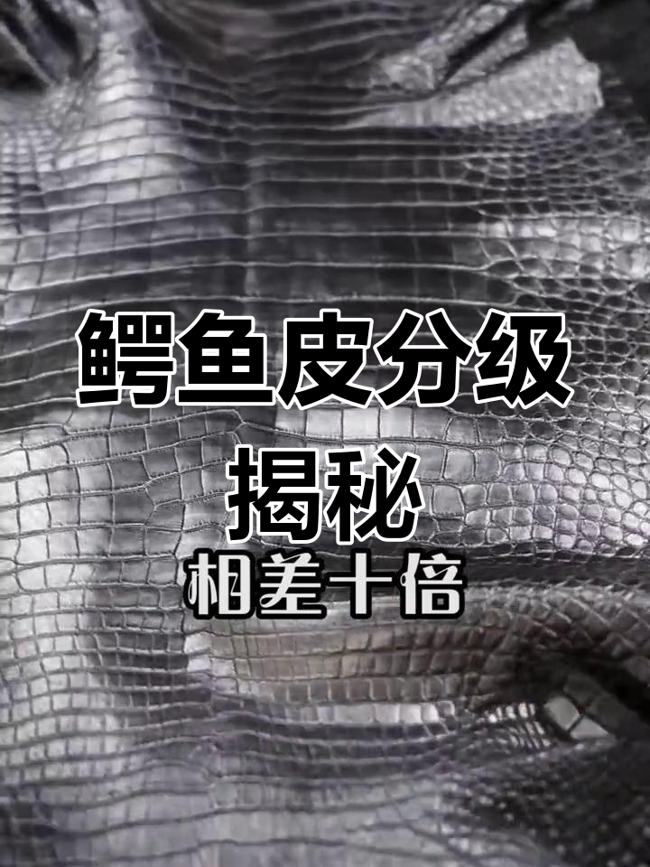 鳄鱼皮等级分明,A级稀有且价格不断攀升