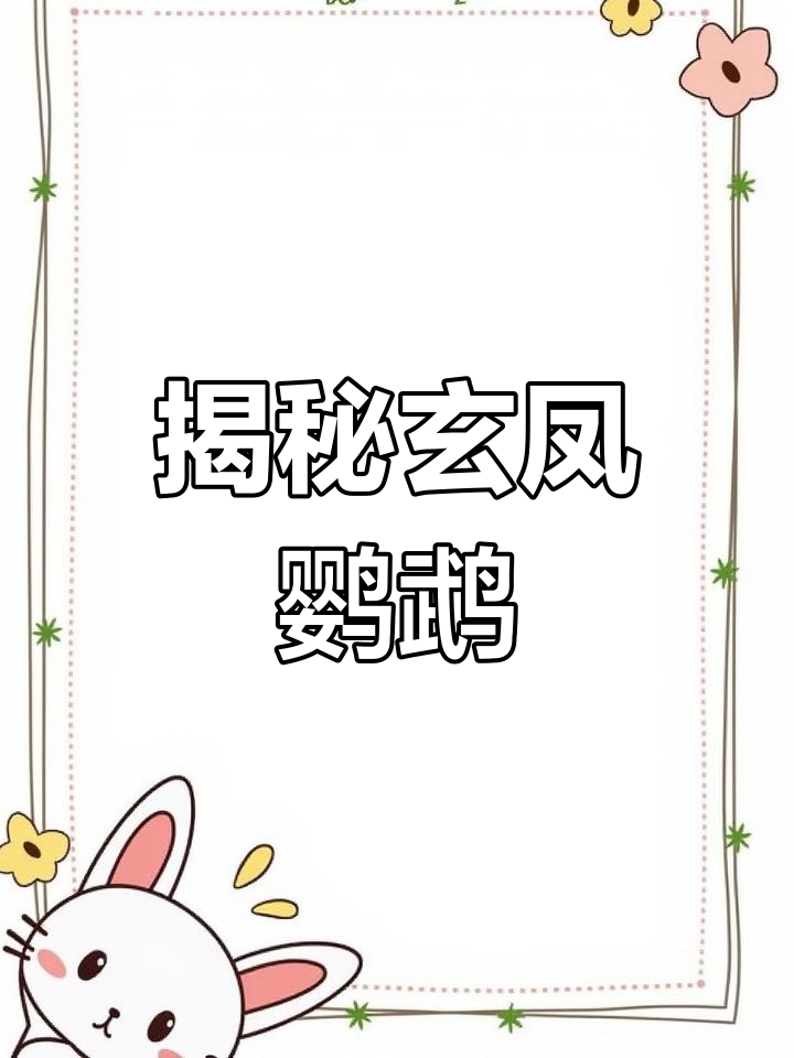 玄凤鹦鹉的秘密:为什么它叫鸡尾鹦鹉?
