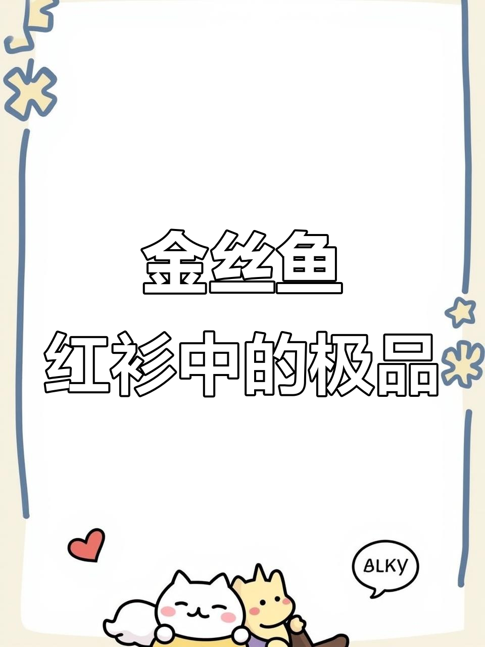 红衫鱼品种揭秘:金丝鱼的独特美味与特征