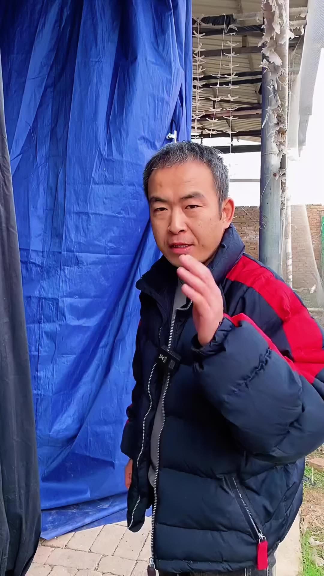 希望大家都能吃到正宗的富平柿饼,才能有那口软糯香甜 富平柿饼 柿子饼