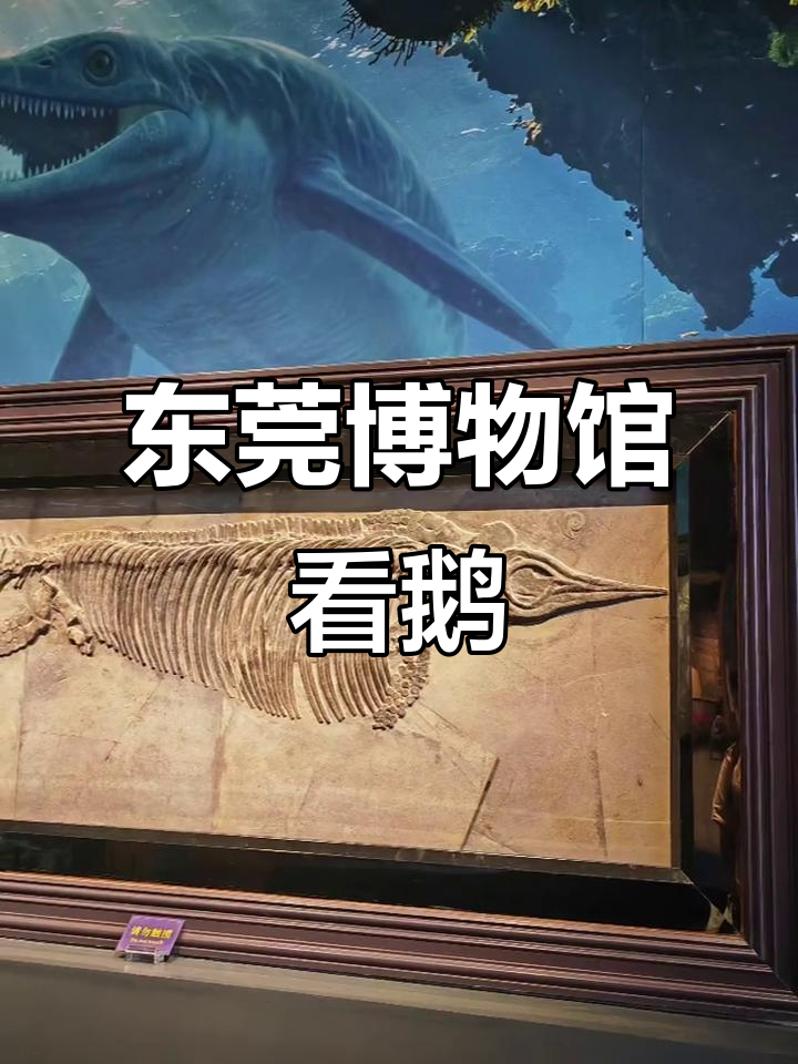 东莞博物馆探秘,烧鹅濑与鹅的故事