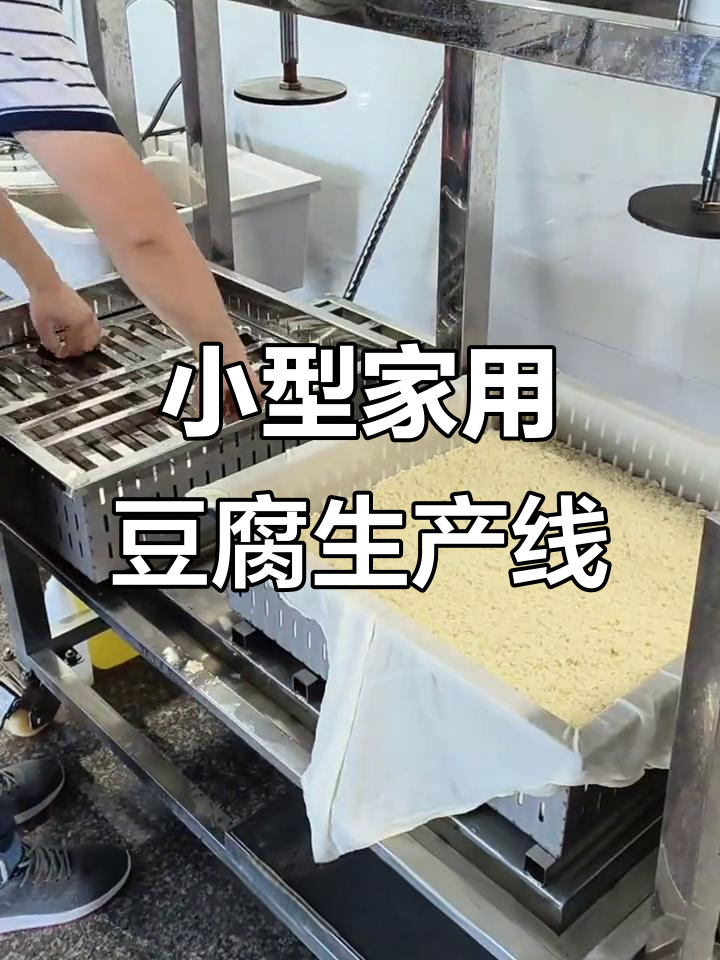 家庭与小型商用皆宜,全自动豆腐流水线设备全解析