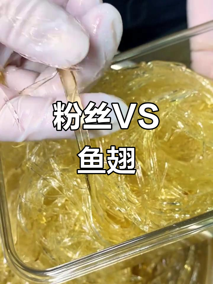 粉丝与鱼翅,究竟有何不同?