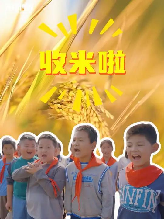 秋收啦!一台台智慧收割机正在无锡的田野间轰隆作响,好一派喜人的秋日丰收景。无锡 秋收 鱼米