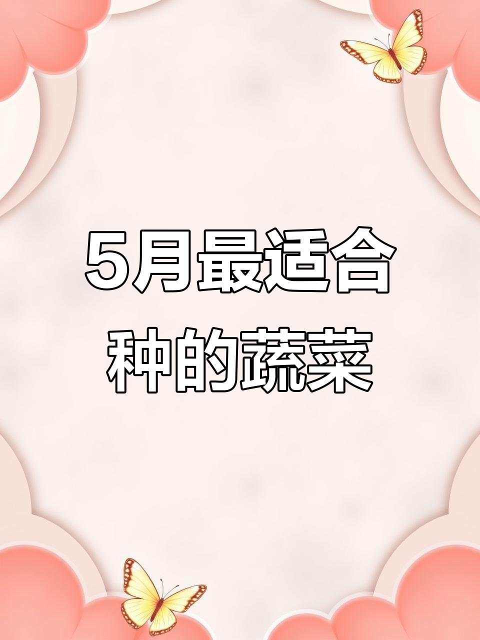 7月5日种什么菜最合适?广东四九菜心耐热美味
