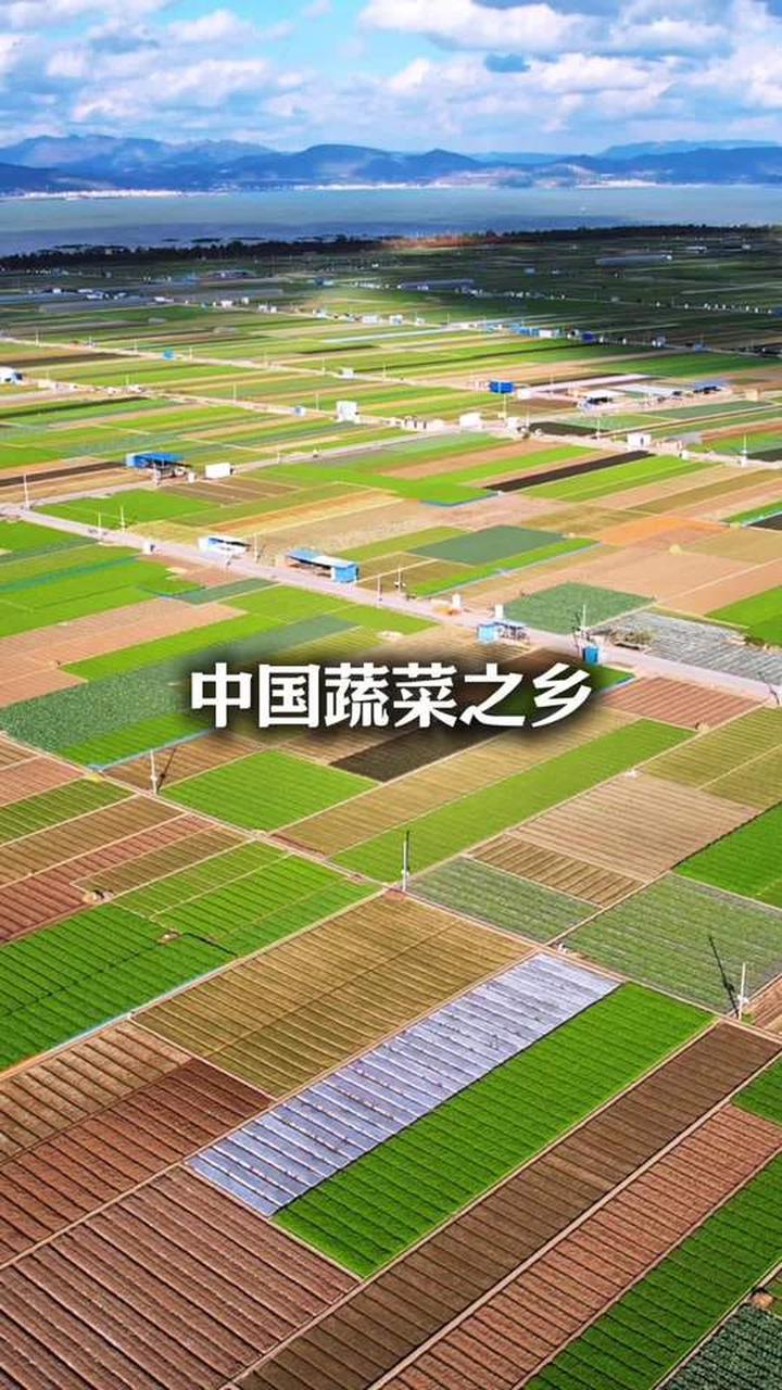 中国蔬菜之乡 中国最大的露天蔬菜种植基地，云南玉溪通海