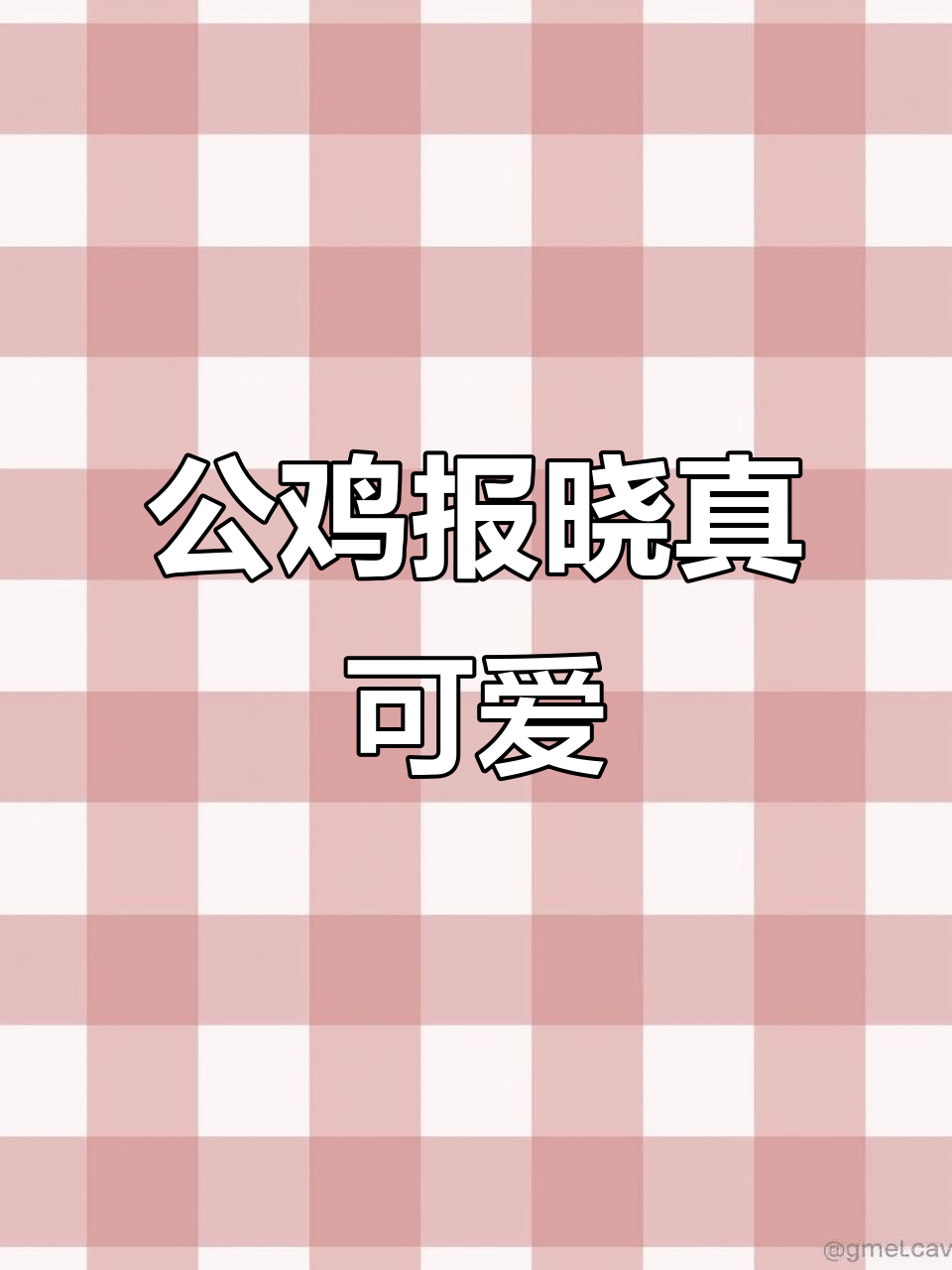 大公鸡11月的美丽早晨,红冠啼鸣唤醒新一天
