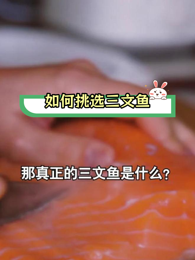 三文鱼真相大揭秘,哪里才是正宗?