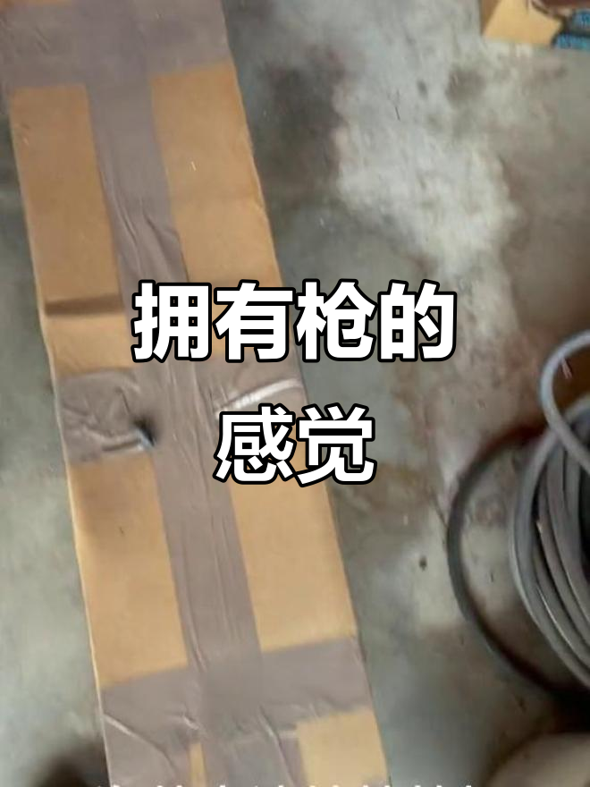 美国枪支实名制背后的故事:从菜刀到气枪的转变