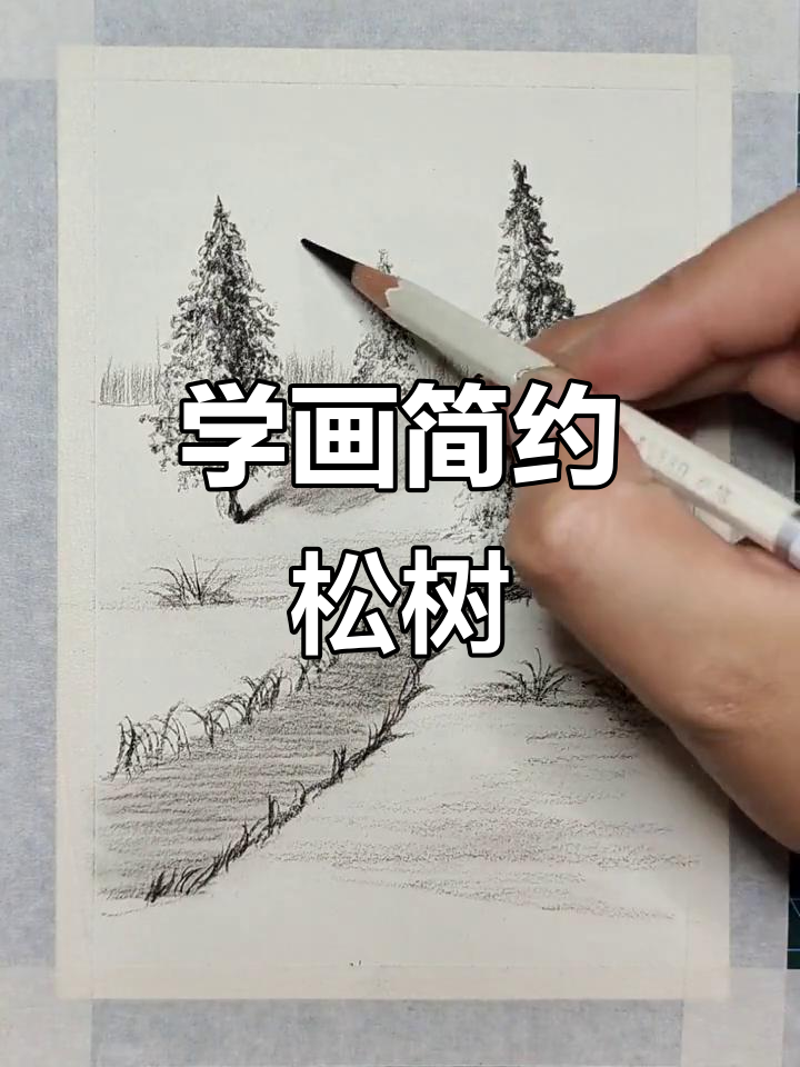 轻松画出松树素描,简单又好看!