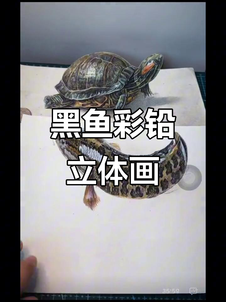 黑鱼彩铅3D立体画创作过程大揭秘