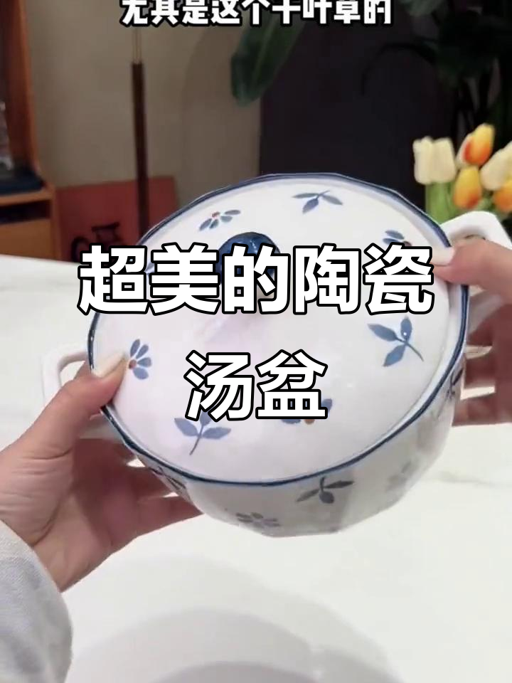 这款陶瓷汤盆太美了,带盖设计超实用!
