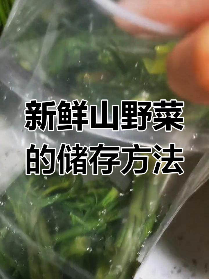 山野菜刺嫩芽的保存技巧
