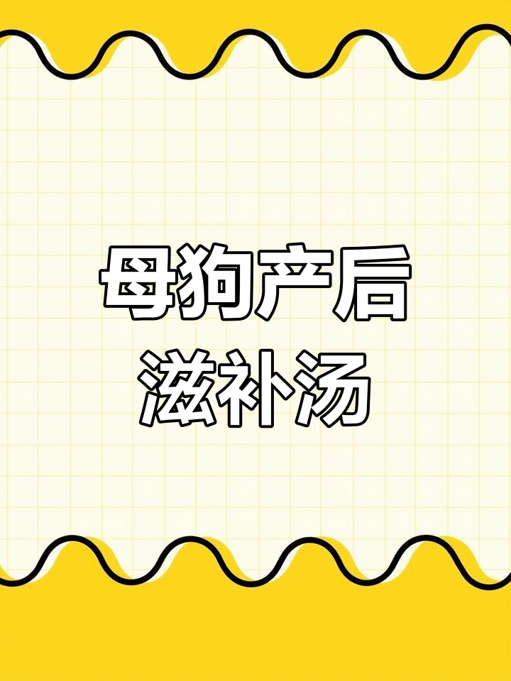 母犬产后恢复必备:鹌鹑汤催乳效果好,营养满满