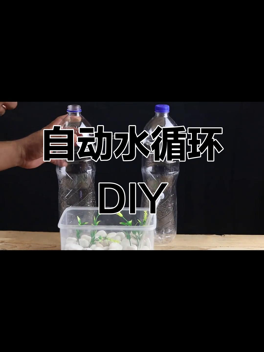 手工制作自动水循环,无需电力!鱼缸过滤新玩法