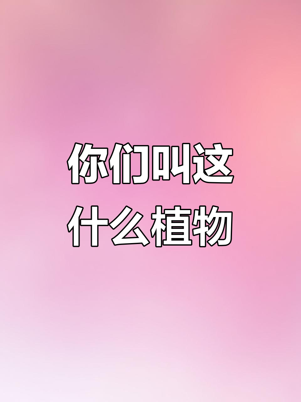 你见过这种野菜吗？它在你家乡叫什么名字？