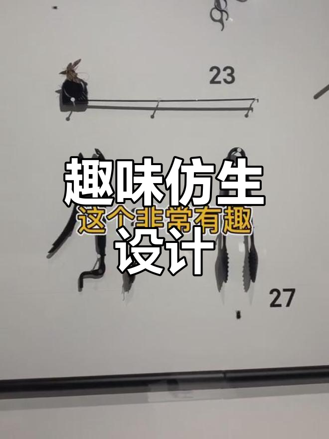 仿生设计:从自然到生活的创意转化