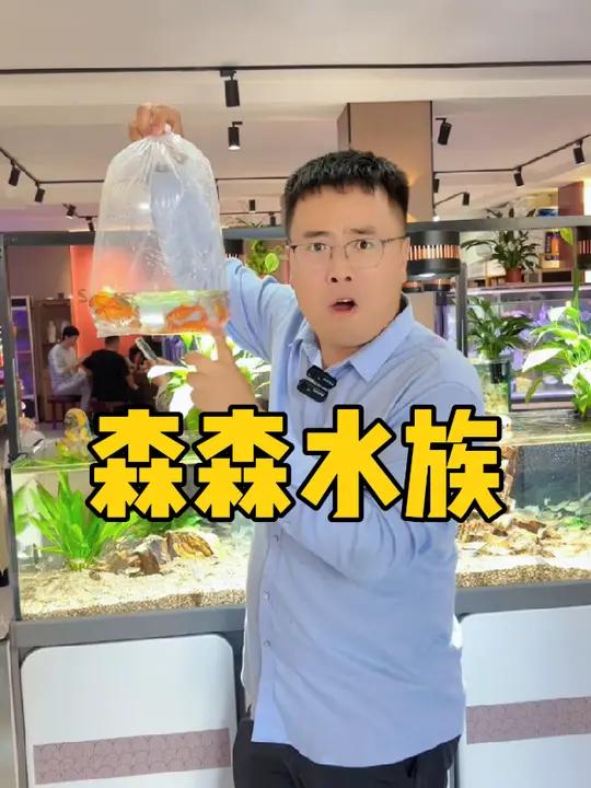 喜欢养鱼的兰考老乡,这条视频你一定要看完!生态养鱼 轻松养鱼 浴缸 观赏鱼 鱼缸里的大自然