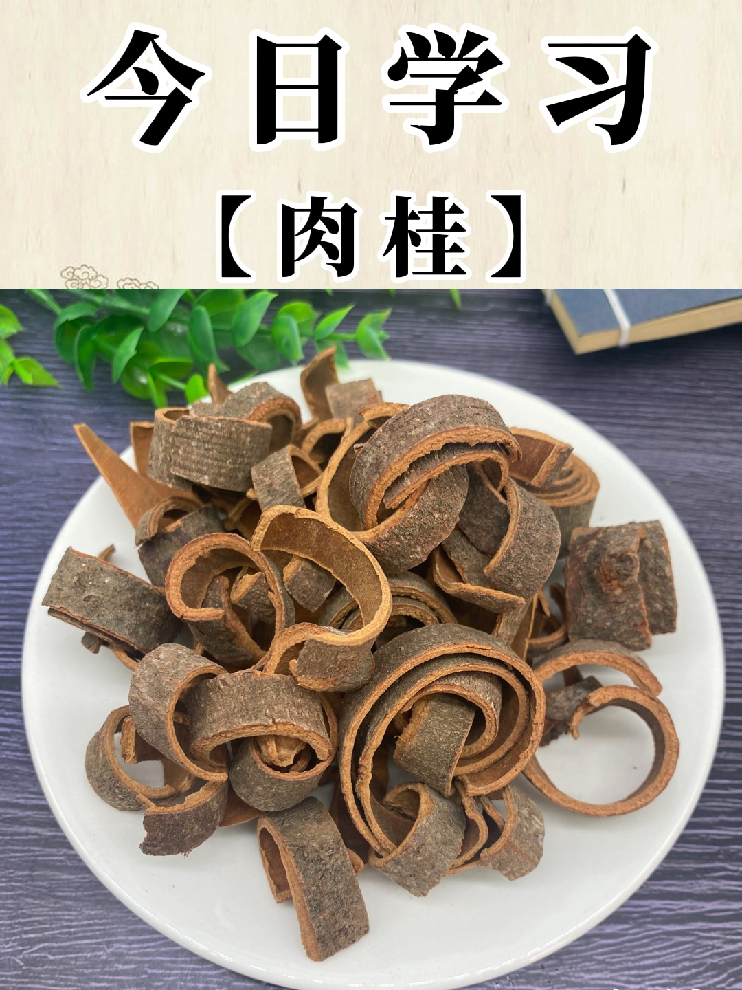 肉桂视频