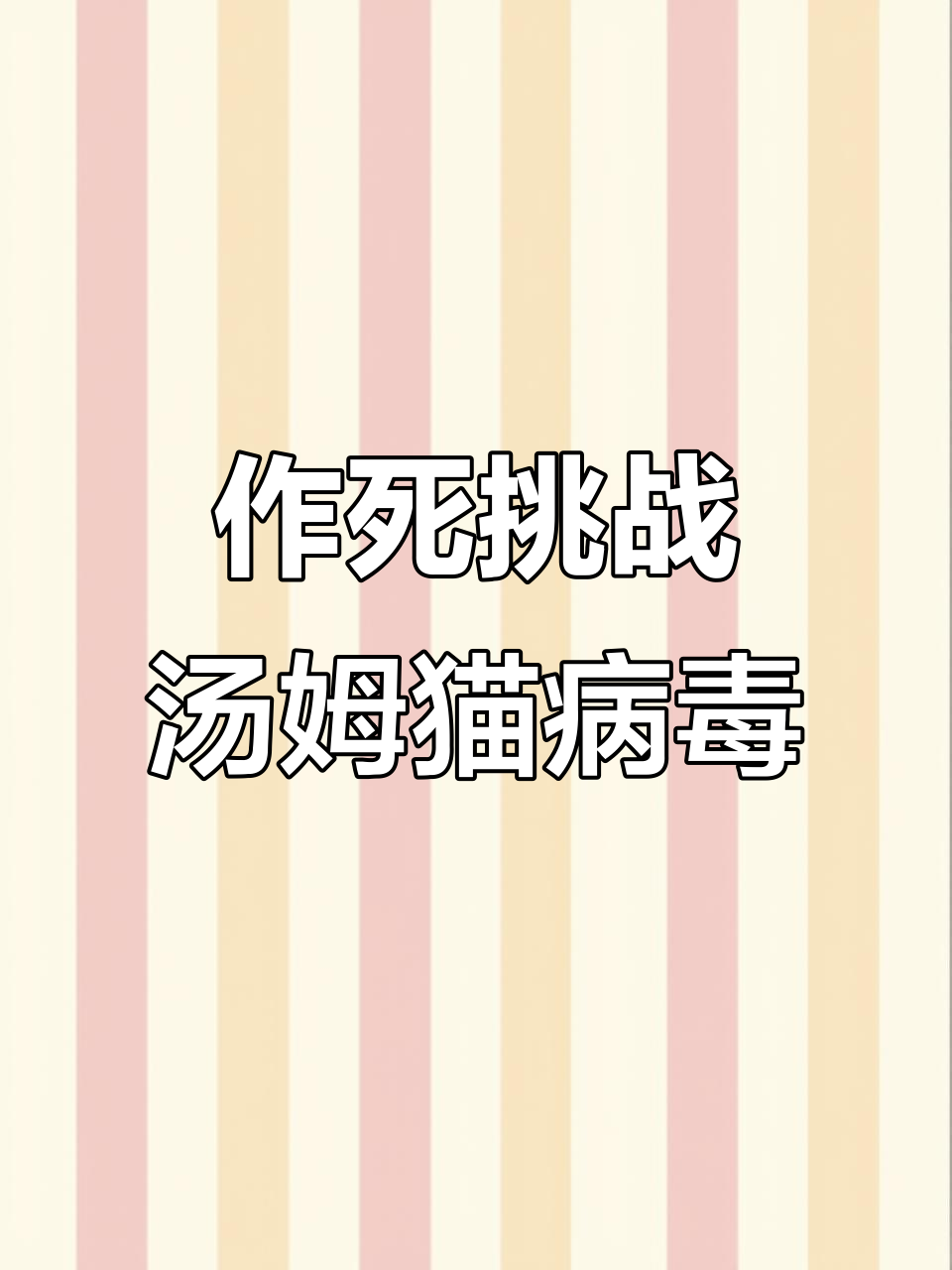 运行汤姆猫病毒,耳朵差点掉下来!