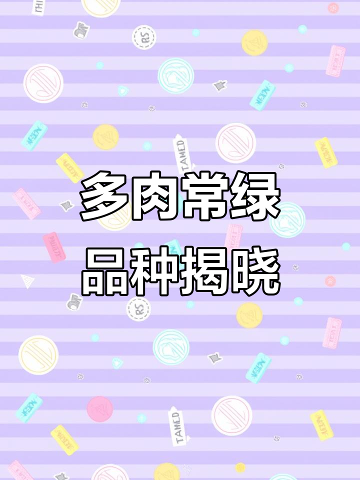 多肉植物四季颜色变化大揭秘，哪些多肉始终保持绿色？