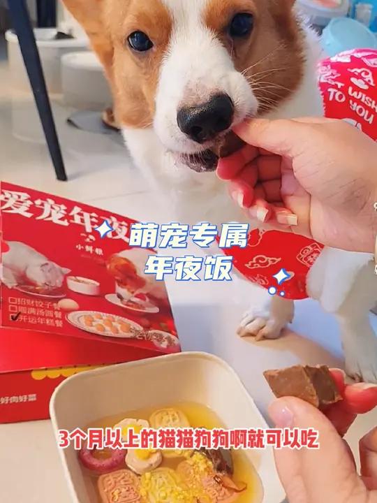 属于毛孩子的年夜饭礼盒,饺子汤圆年糕三件套都有!猫狗都能吃 狗狗年夜饭宠物年夜饭的仪式感