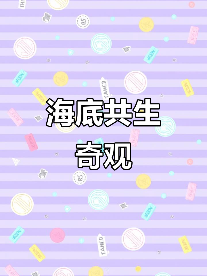 海底鳗鱼紧密相依,轮流觅食,宛如巨大生物缓缓移动