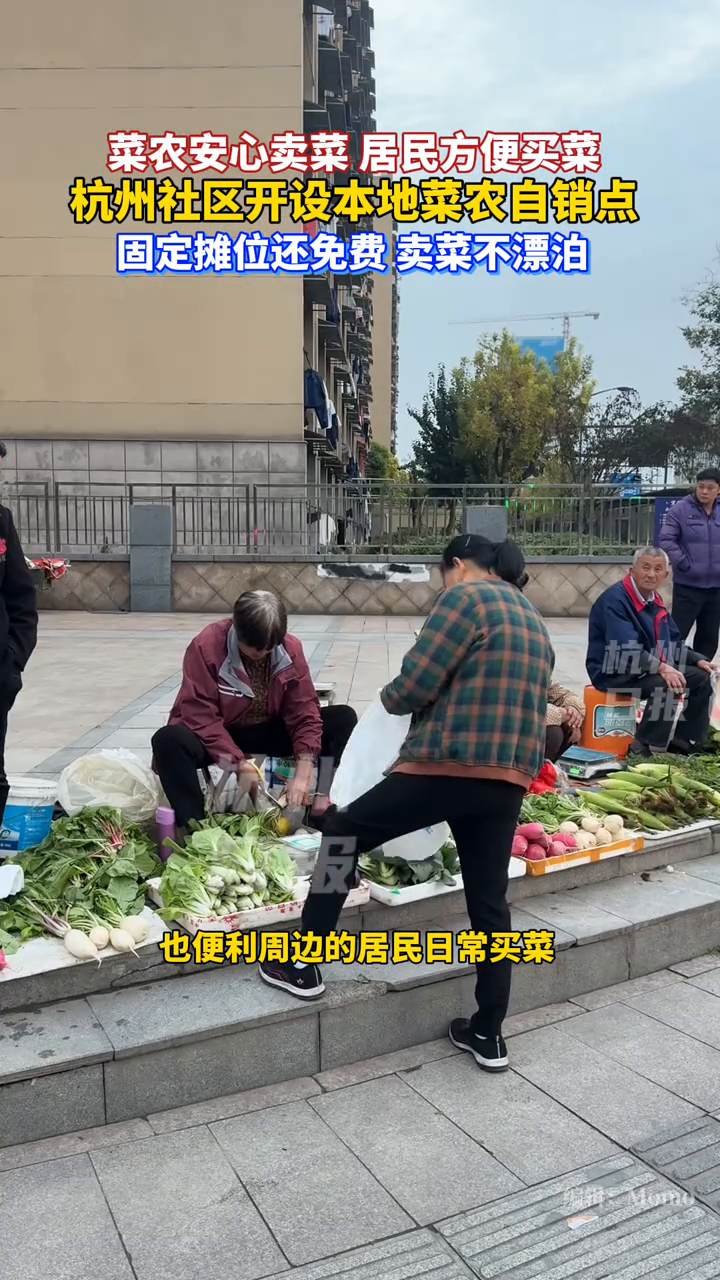 杭州菜农摆摊有了固定摊位还免费,菜农安心卖菜,居民方便买菜