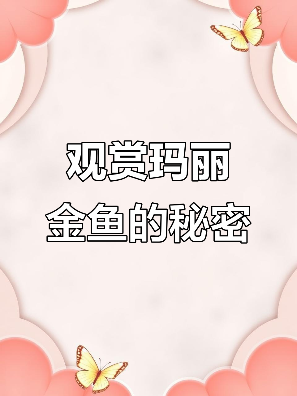 泰国玛丽泰狮金鱼现场展示,公母鱼全揭秘