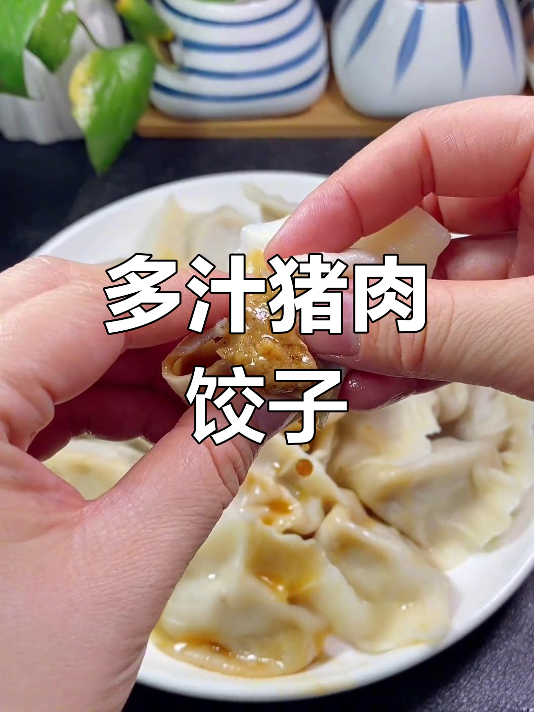 猪肉大葱水饺,汤汁丰富又美味