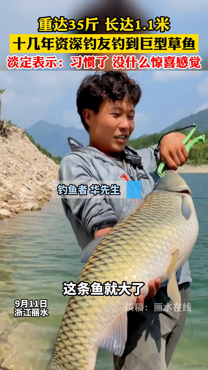 重达35斤,长达1.1米!“资深钓友”钓上来巨型草鱼!