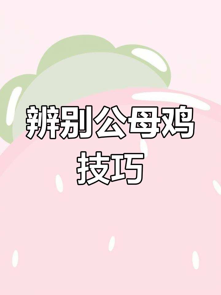 如何分辨公鸡与母鸡?