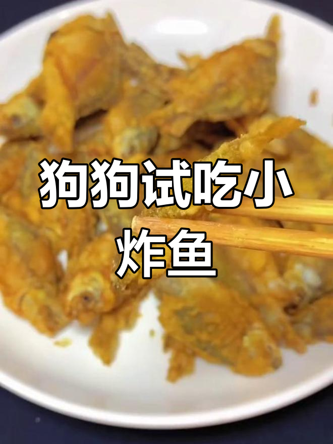 狗子吃小炸鱼,竟然这样反应!