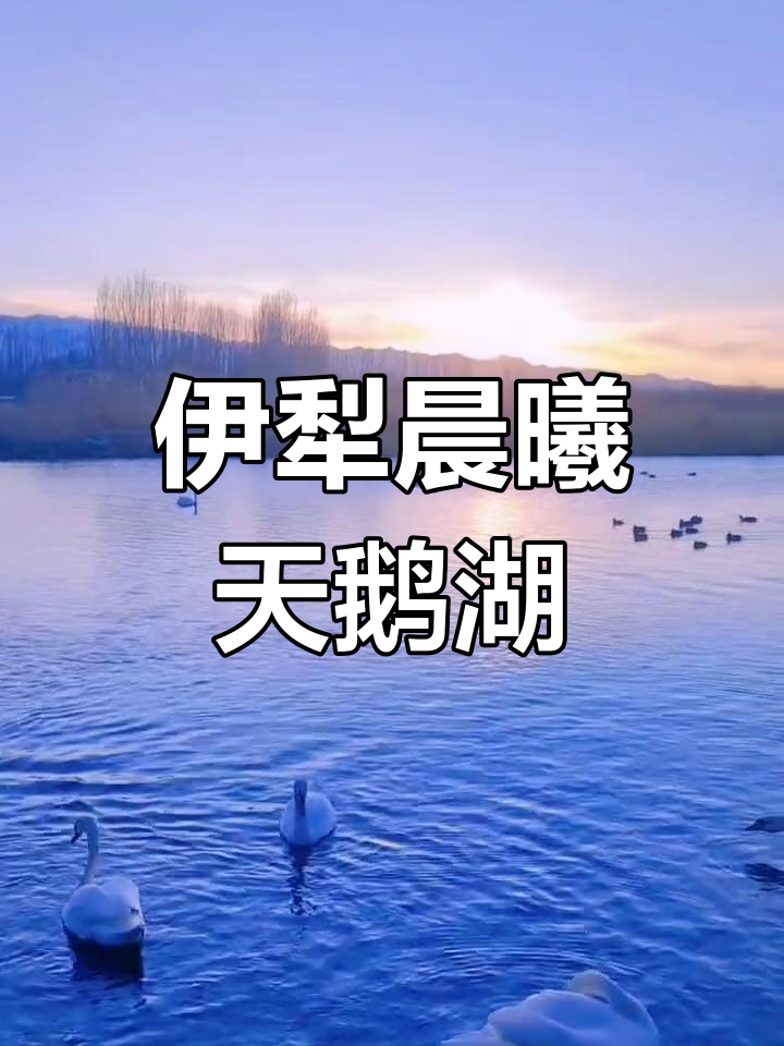 清晨伊犁天鹅湖,朝霞映衬下的美丽画面
