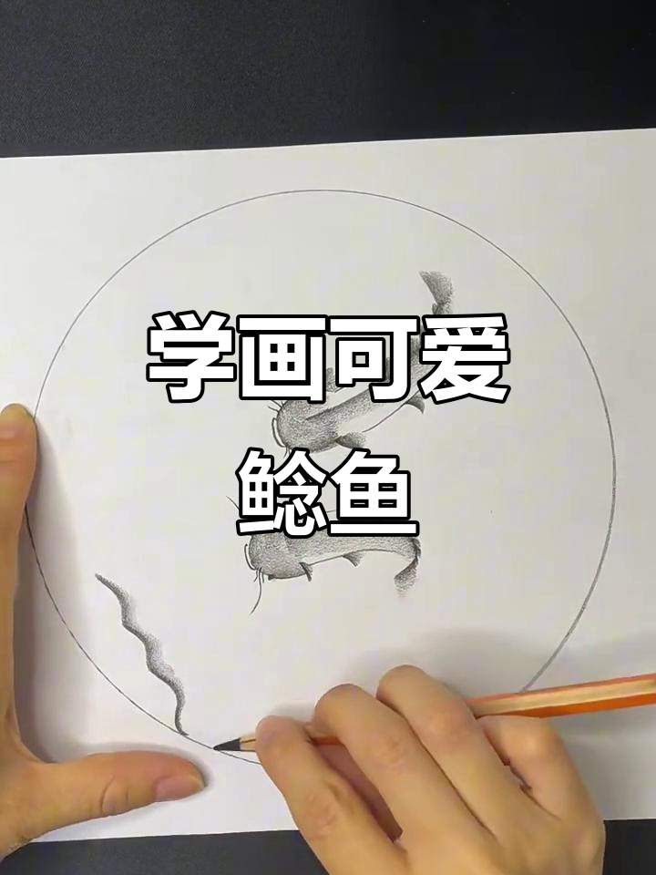 轻松学会画鲶鱼，步骤简单有趣