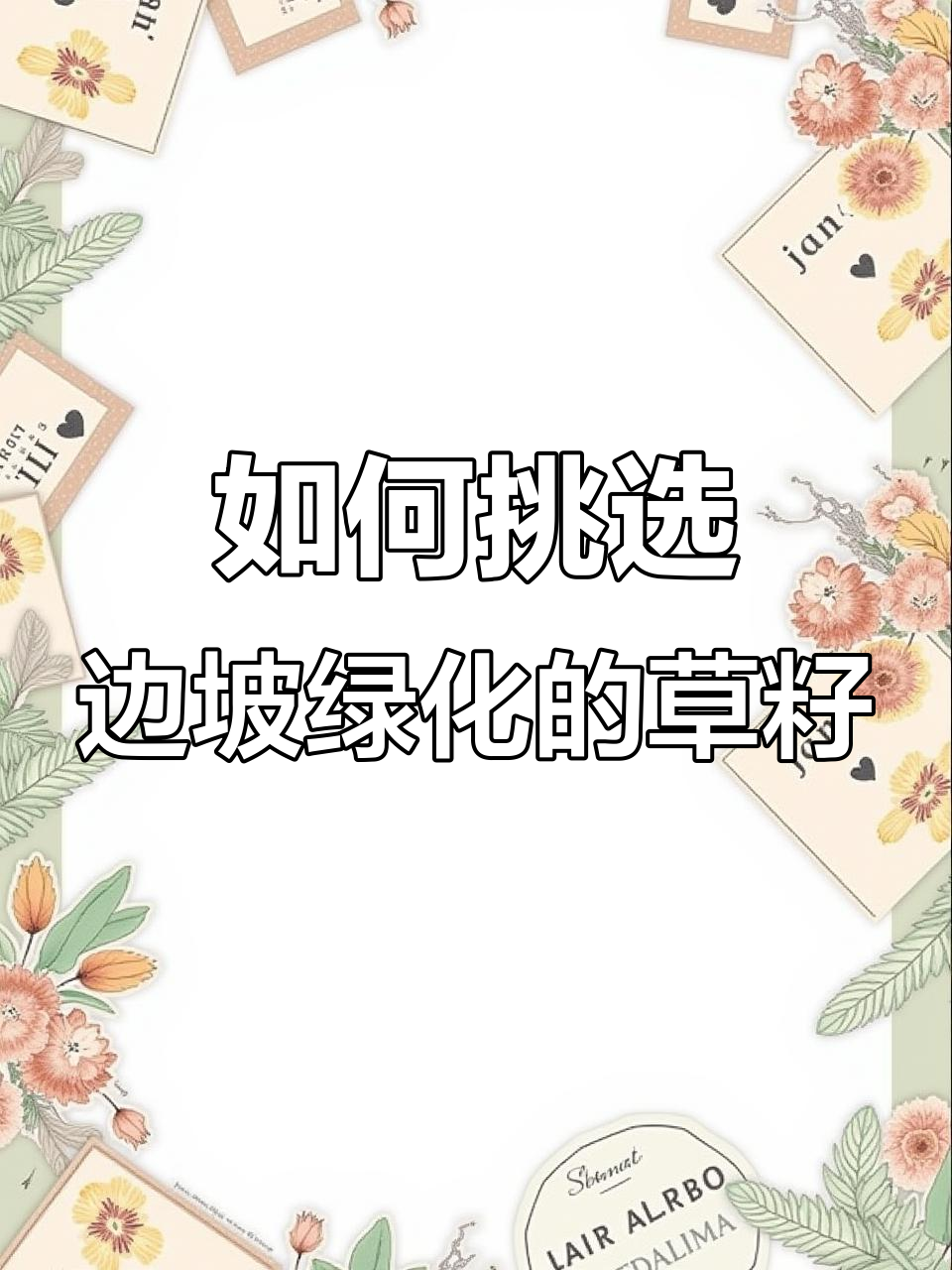 边坡绿化草籽选择全攻略:如何根据气候、土壤选对品种