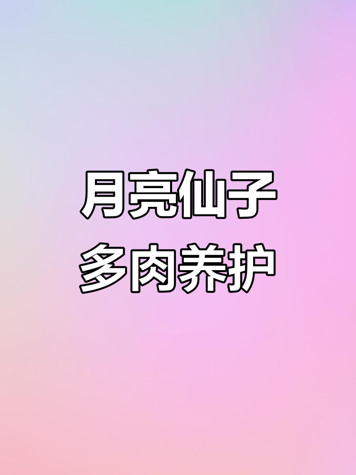 月亮仙子多肉养护全攻略:轻松掌握光照、浇水与繁殖技巧