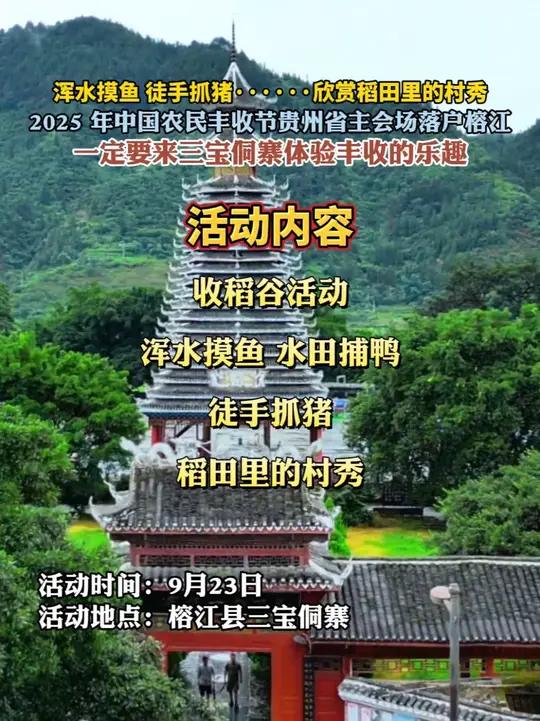 浑水摸鱼 徒手抓猪……欣赏稻田里的村秀,2025 年中国农民丰收节贵州省主会场落户榕江,一