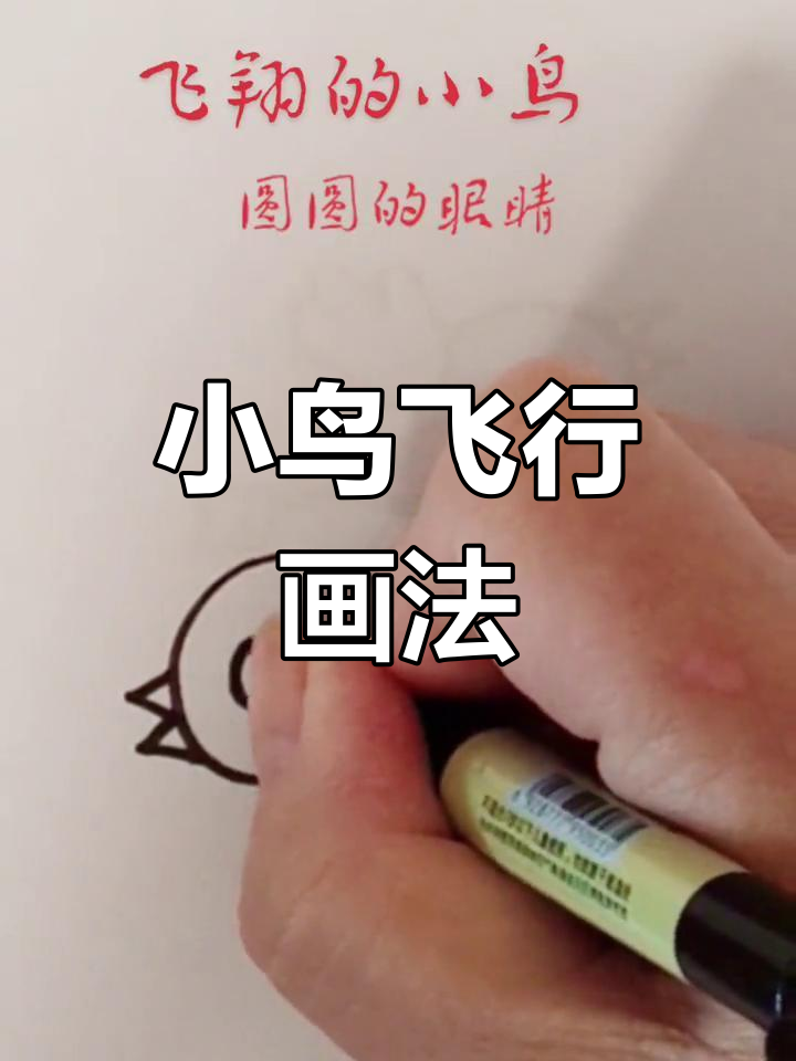 简单易学的飞翔小鸟简笔画教程